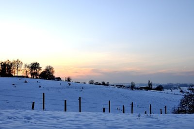 20130122-039a.JPG