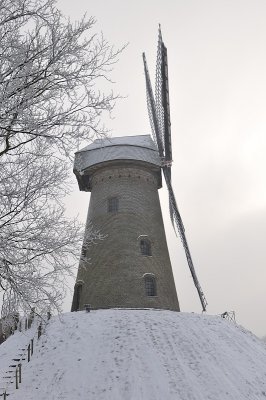 Evergem (Wippelgem) - Gerardsmolen 