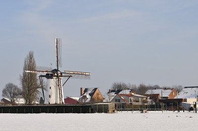 20130124-003a.JPG