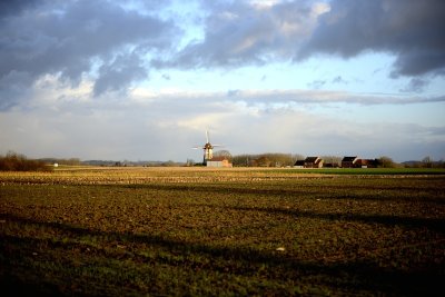 Denderwindeke - molen