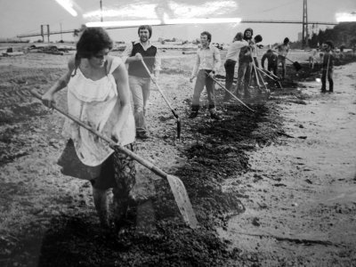 '73 North Shore oilspill cleanup