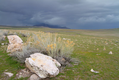 Antelope Island