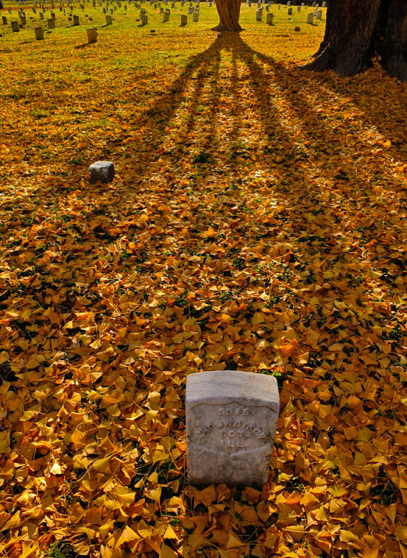 Cemetery, National Military Park, Vicksburg, Mississippi, 2012