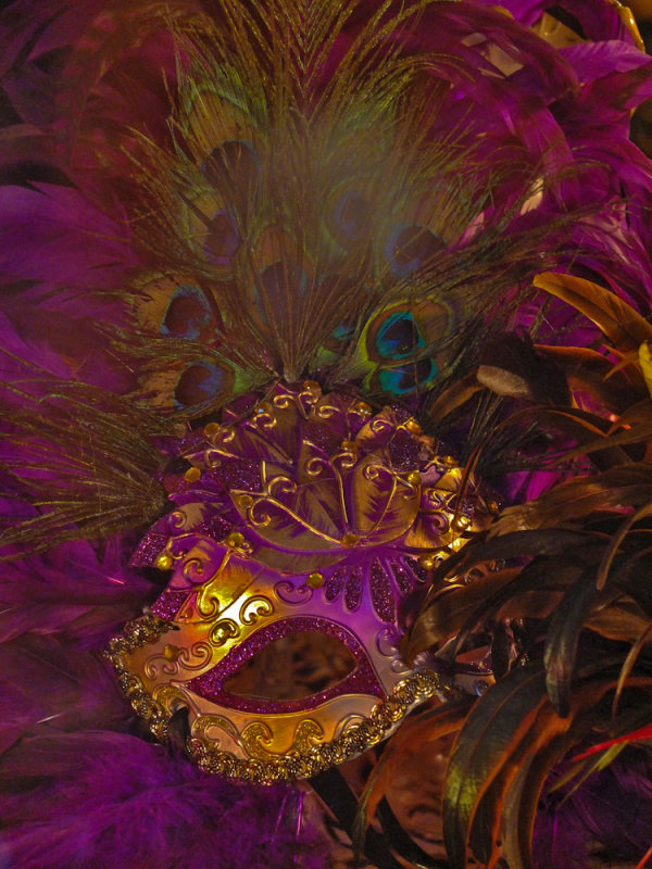 Peacock Mardi Gras Mask, New Orleans, Louisiana, 2012