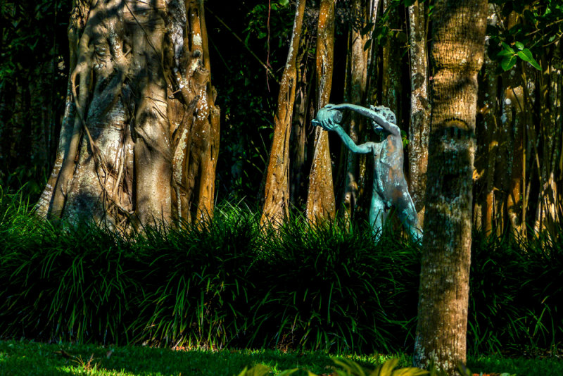 Banyan Garden, Ringling Estate, Sarasota, Florida, 2013