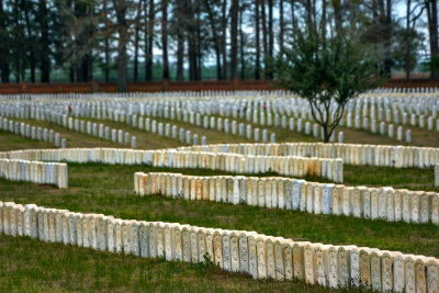 The cost of war, Andersonville National Cemetery, Andersonville, Georgia, 2013
