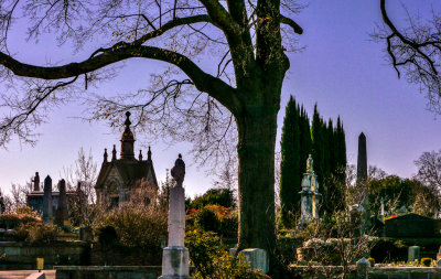 Spires and trees, Oakland Cemetery, Atlanta, Georgia, 2013