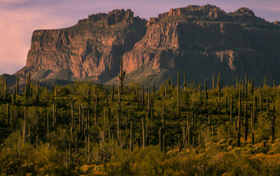 Superstition Mountains, Gold Canyon, Arizona, 2013