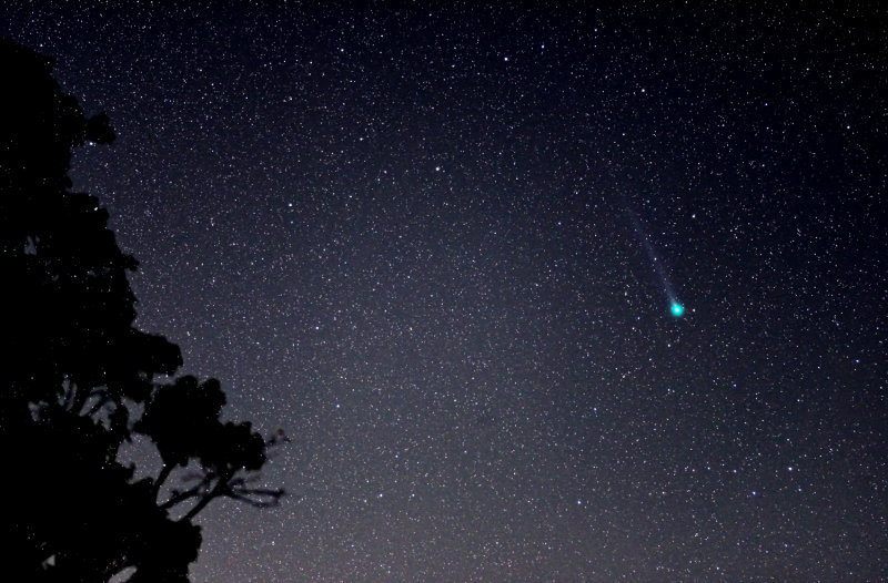Comet Lemmon widefield