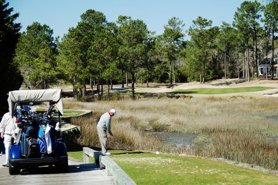 Myrtle2013_0874-ps.jpg