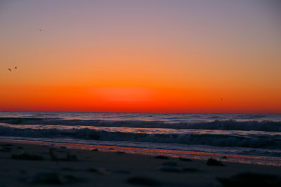 MyrtleBeach2013_0942.jpg