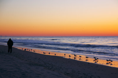 MyrtleBeach2013_0970-ps.jpg