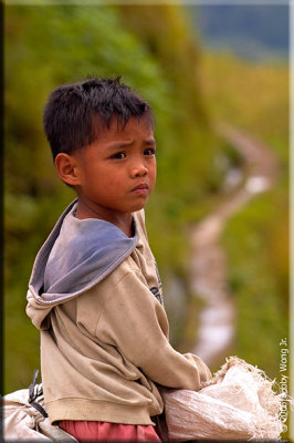 The Children of Ifugao