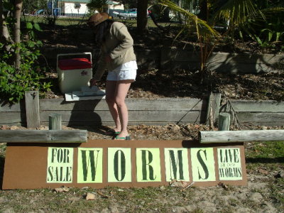 worms_for_sale.jpg