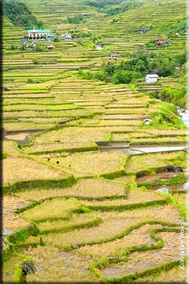 Low Terraces