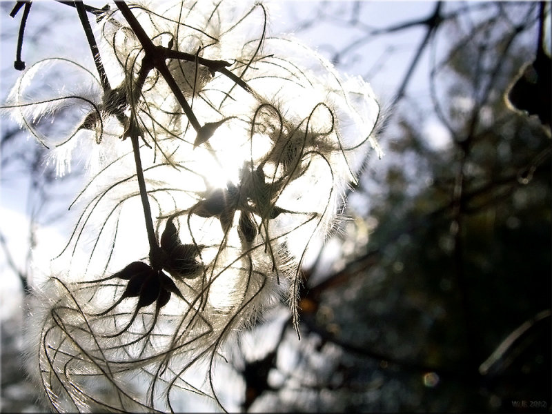 head on<br>11-11-2012