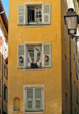 The slim house