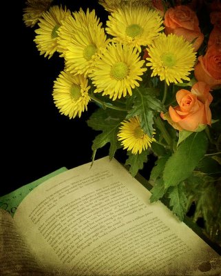 So many books, so little time. 