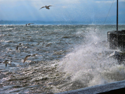 The wild beauty of a rough lake...