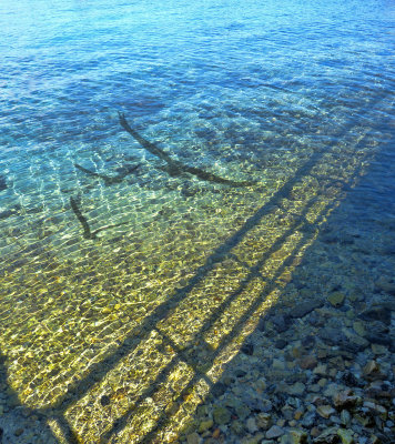 Shadows and reflections from the small pier...