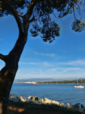 St Honorat's Island. Here we are