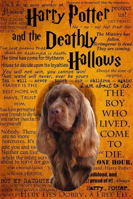 Harry Potter book cover 2b.jpg