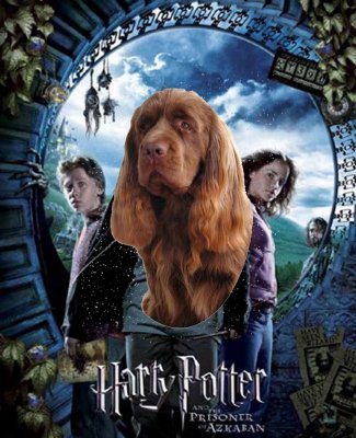 Harry Potter book cover 3b.jpg