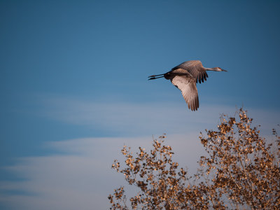 g2/82/645382/3/147101419.eFJEF8bg.jpg