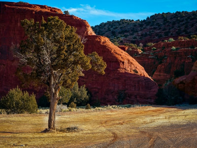 Approaching the Red Rocks