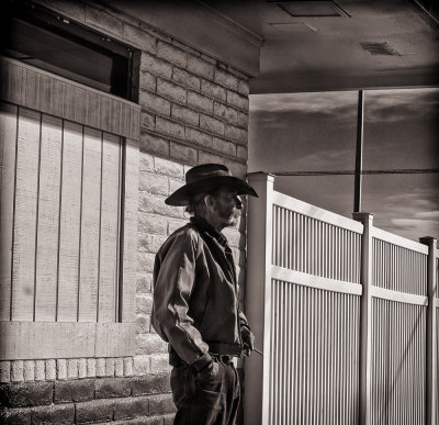 Cowboy In Waiting