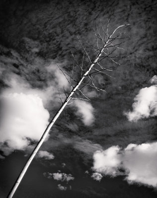  Aloft