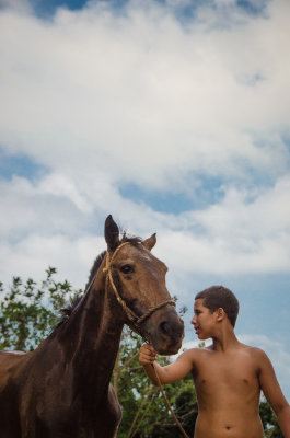   A Boy and His Horse