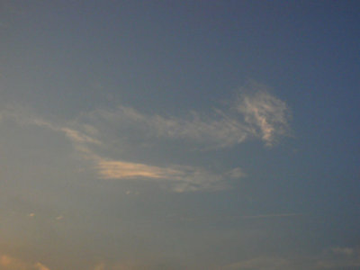 Dachshund Cloud