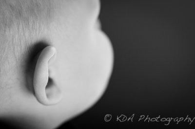 Thomas Family-5375.jpg