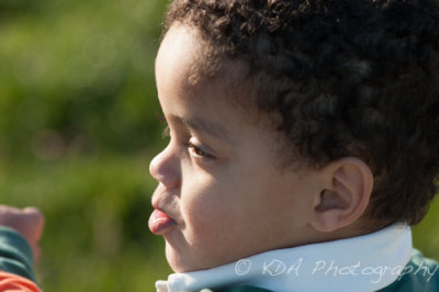 g2/82/676582/3/147752315.ab6Jcz3n.jpg