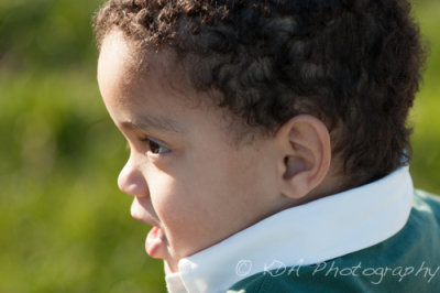 g2/82/676582/3/147752316.FO3eNnB3.jpg
