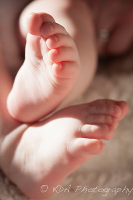Babies/Children