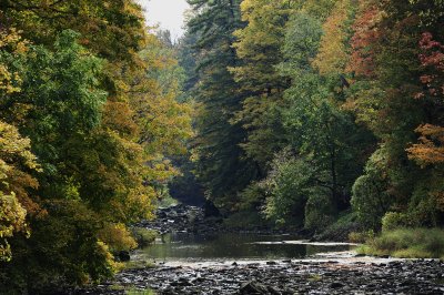 _DSC6152.JPG