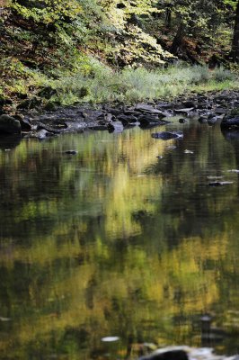 _DSC6221.JPG