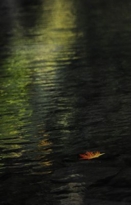 _DSC6258.JPG