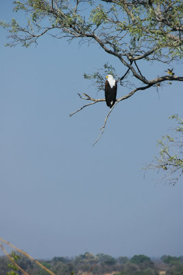 IMGP3649.jpg