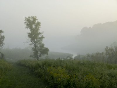 P1050427a.jpg