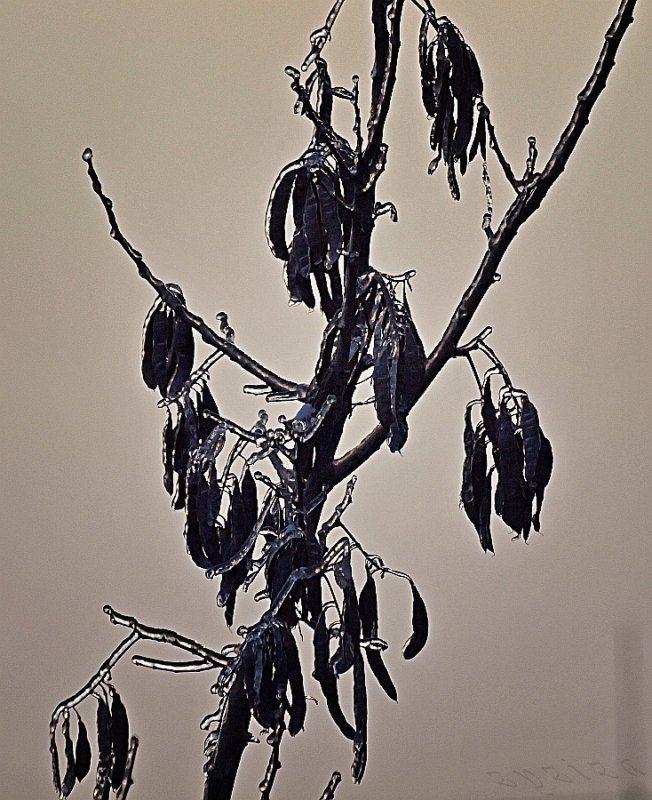 frozen I
