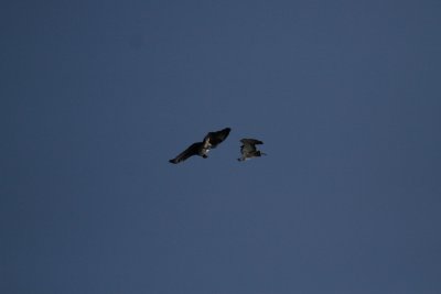 20121020 _MG_1909.jpg
