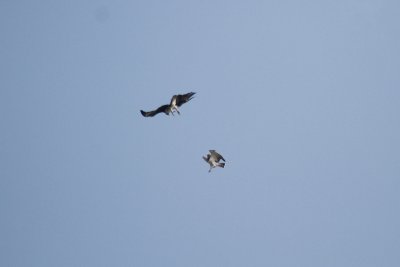 20121020 _MG_1922.jpg