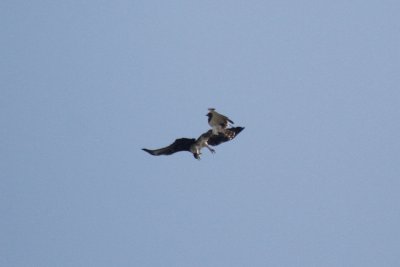 20121020 _MG_1923.jpg