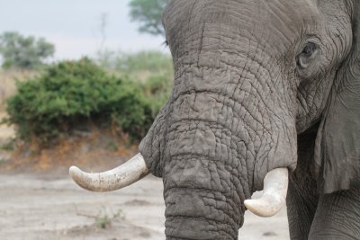 Botswana