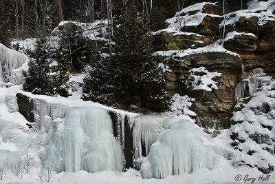 Winter in Algonquin Park_13-01-25_3257.jpg