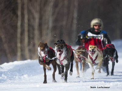 DEFI MAURICIE 2013