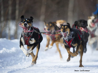 DEFI MAURICIE 2013